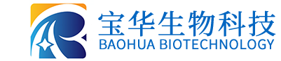 云体育电子app_云体育（中国）
